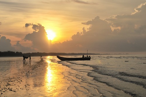 trà cổ