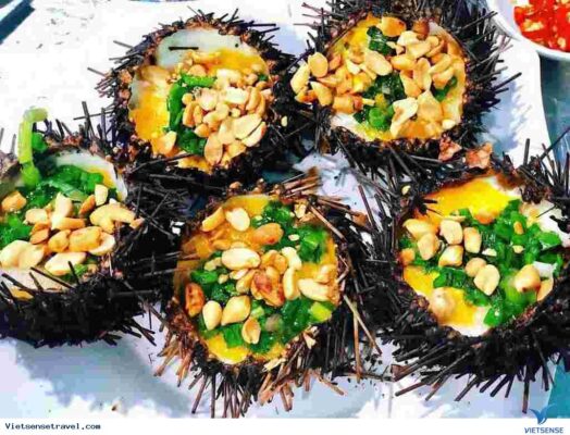 doan-tham-quan-dinh-quan-lan